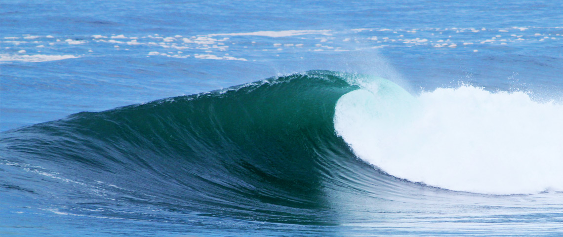 Reef | My Powderwave
