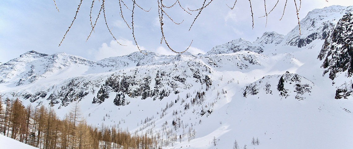 ANLAUFTAL | My Powderwave